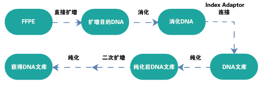 iM体育官网app下载